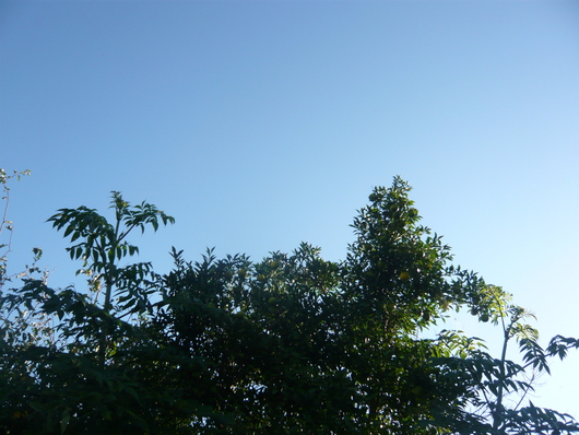 a0206332_9271218.jpg