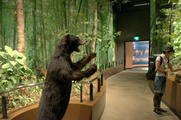 c0133533_14141074.jpg
