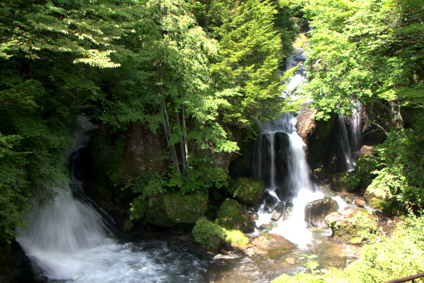 c0133533_143128.jpg