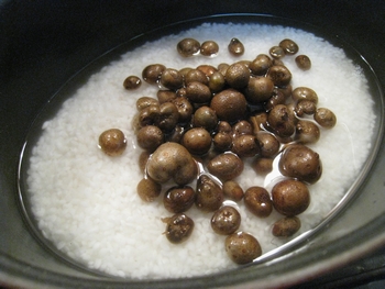 c0134734_1421367.jpg