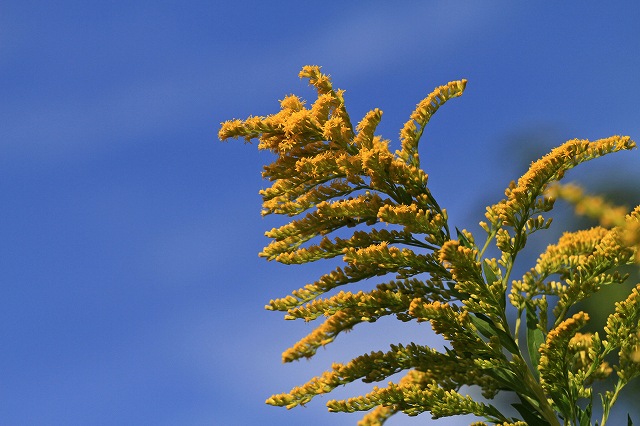 a0242438_18355597.jpg