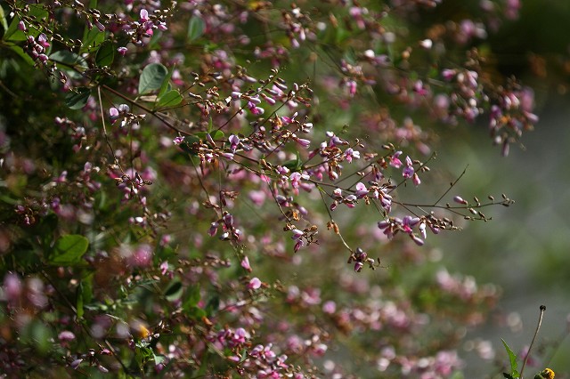 a0242438_183759.jpg