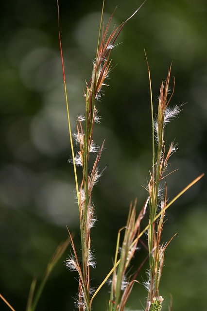 a0242438_18381459.jpg