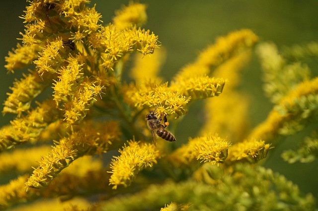 a0242438_1839135.jpg