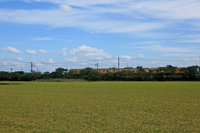a0242438_18442050.jpg