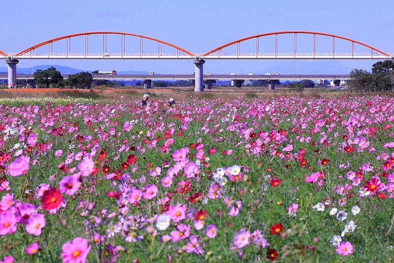 c0229539_1692925.jpg