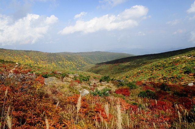 b0122448_2163686.jpg