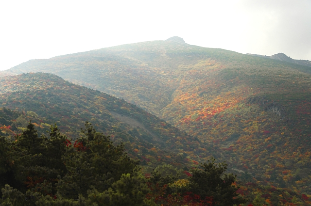 b0122448_22285170.jpg