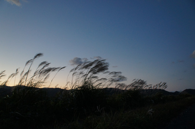 f0214649_654264.jpg