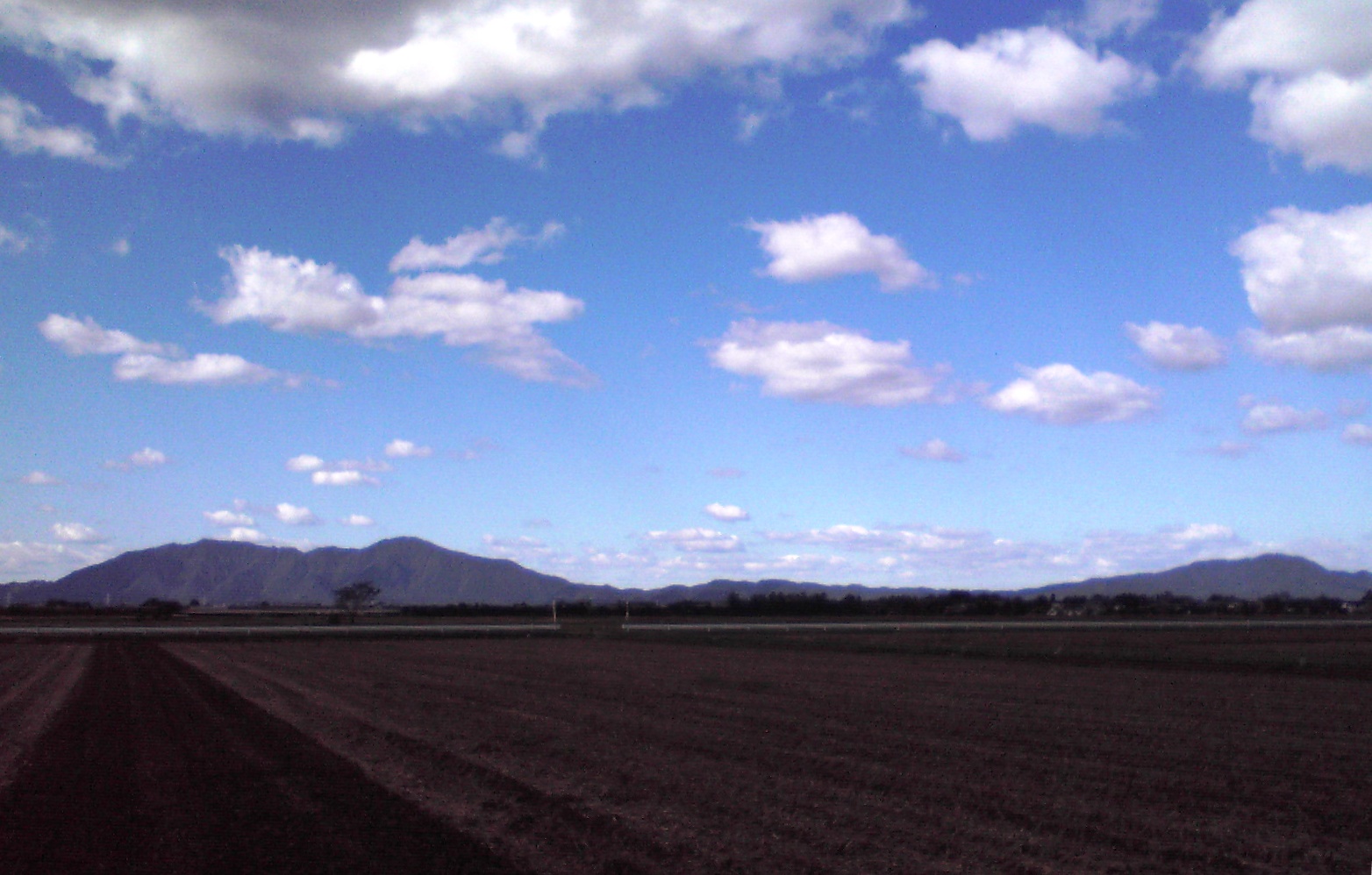 f0057955_2055576.jpg