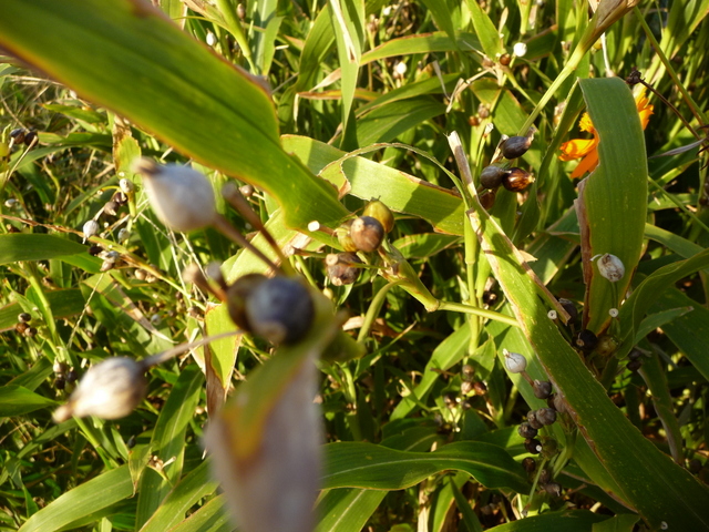 f0208760_16105321.jpg