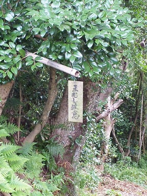 b0161161_23162799.jpg