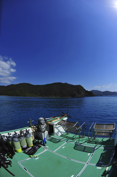 b0062363_20304376.jpg