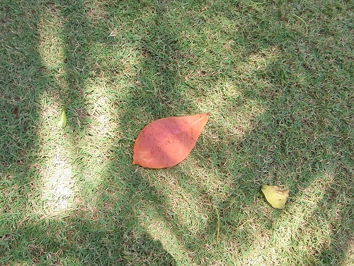 f0002265_23503057.jpg