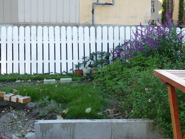 e0250267_20514064.jpg