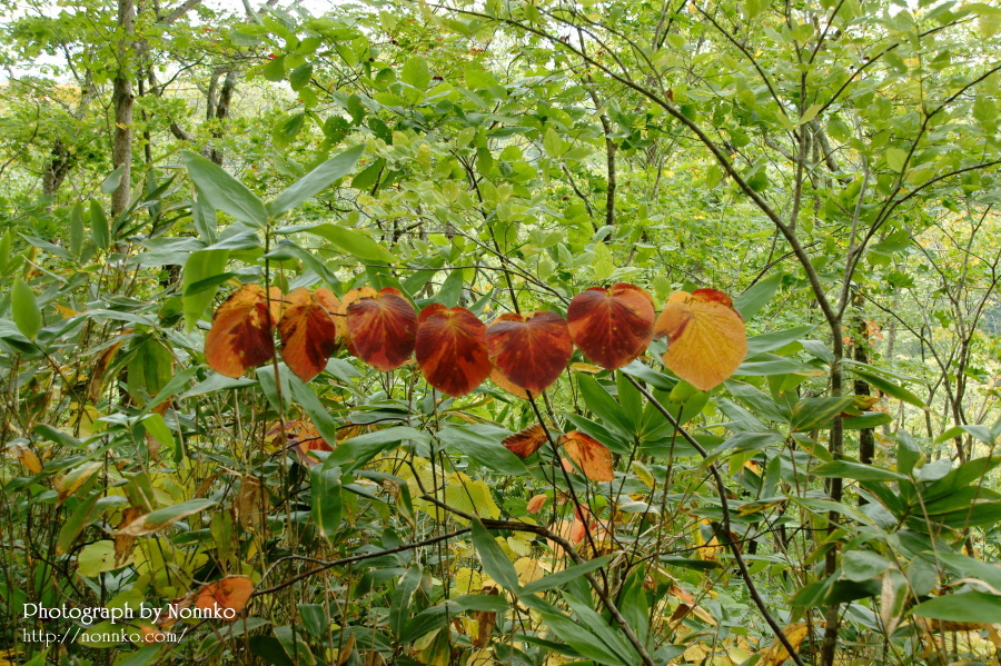 c0106977_20341776.jpg