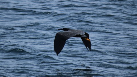 e0197884_646565.jpg