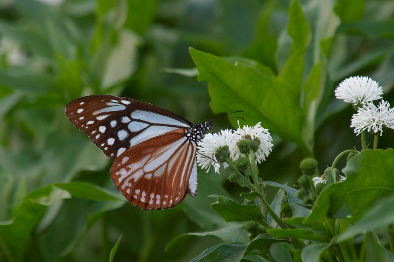 b0108186_092329.jpg
