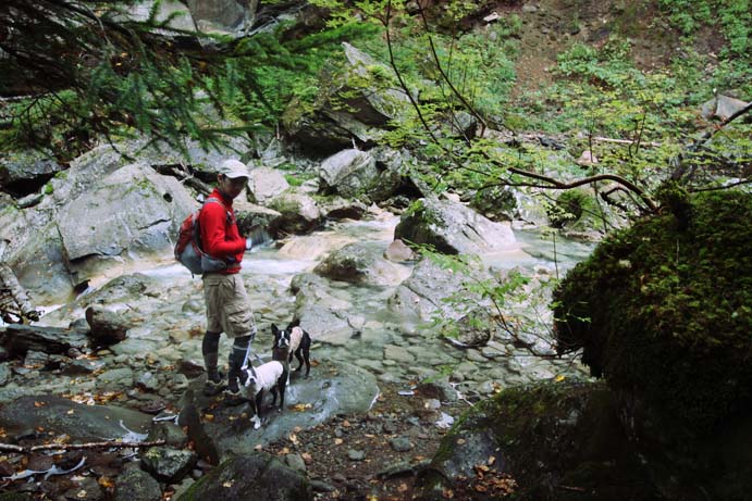 d0151787_138375.jpg