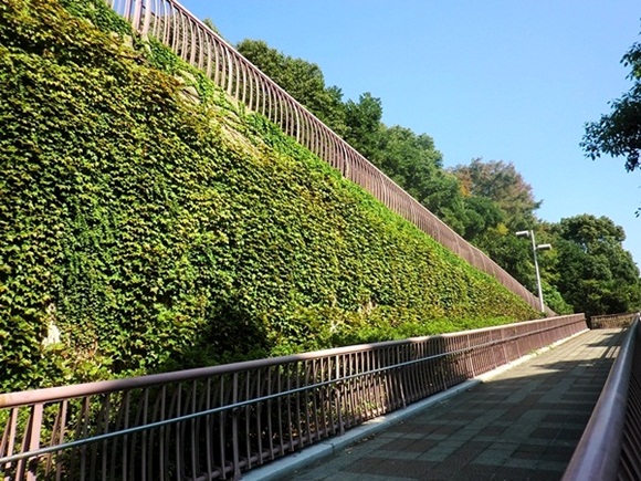 e0143690_9134980.jpg