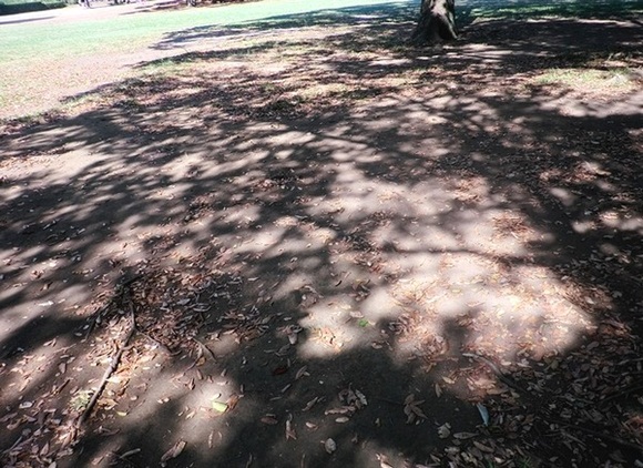 e0143690_984816.jpg