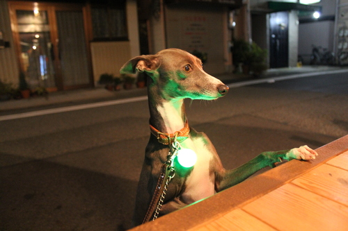 a0234491_22504866.jpg