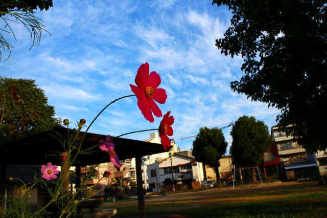 f0041200_0142091.jpg