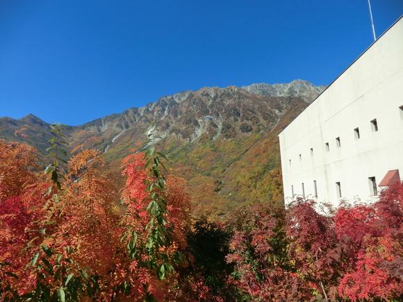 f0124601_2226316.jpg