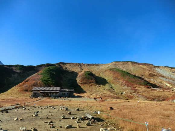 f0124601_2282666.jpg