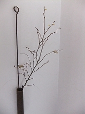 c0151903_1455071.jpg