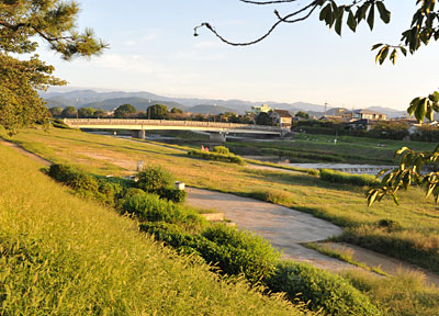 a0278809_1164127.jpg