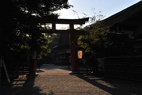 a0278809_1181949.jpg
