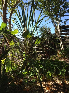 e0233111_1115017.jpg