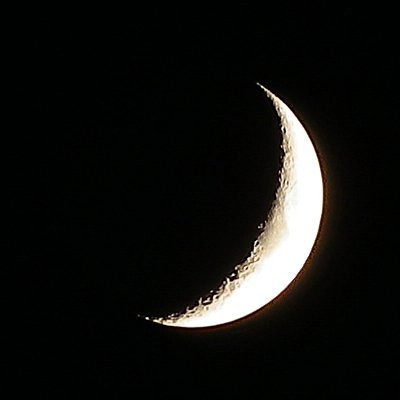 a0260019_0232716.jpg
