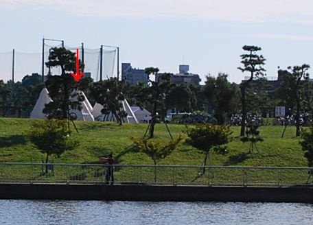 f0214121_23455639.jpg