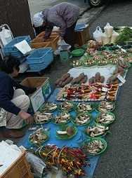 b0252727_9182926.jpg