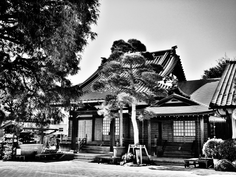 c0109827_20314365.jpg