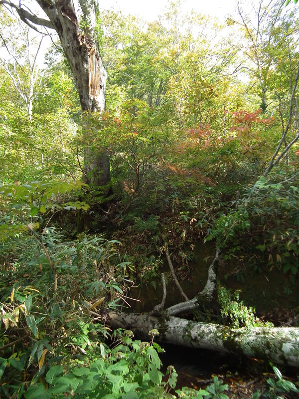 f0118332_23104953.jpg