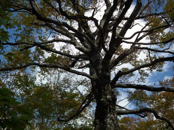 f0118332_23124269.jpg