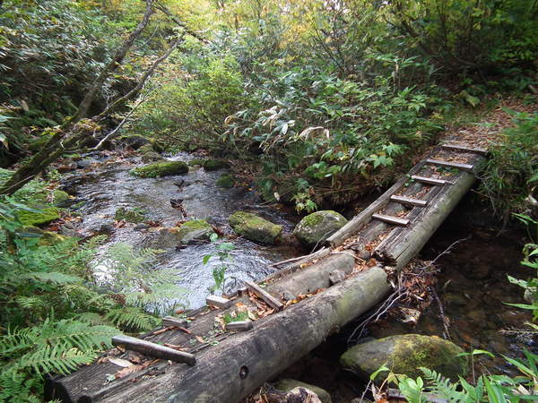 f0118332_23132076.jpg