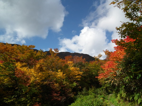 f0118332_23145318.jpg