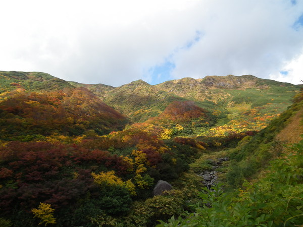 f0118332_23152849.jpg