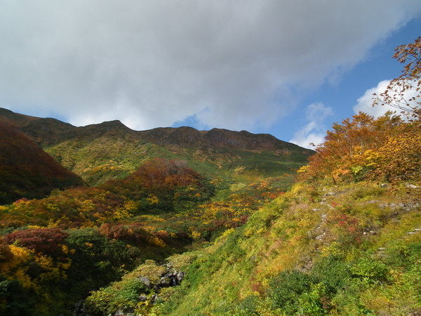 f0118332_23155319.jpg