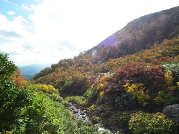 f0118332_23162257.jpg
