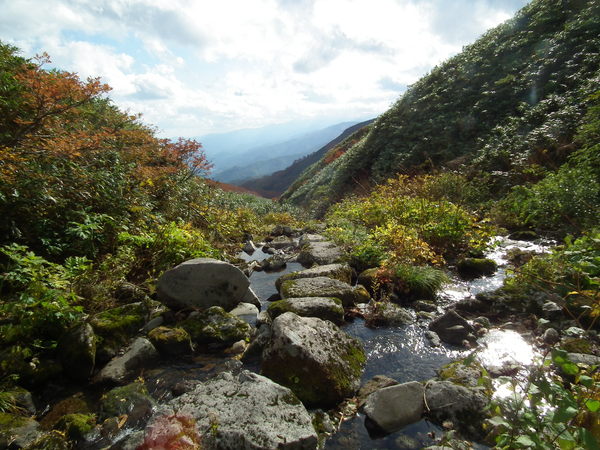 f0118332_23191851.jpg