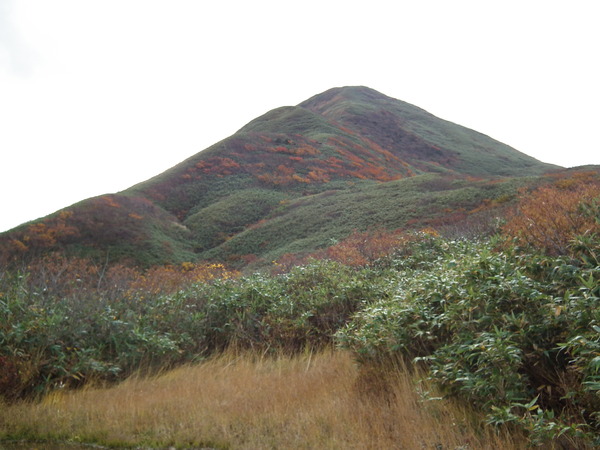 f0118332_23201537.jpg