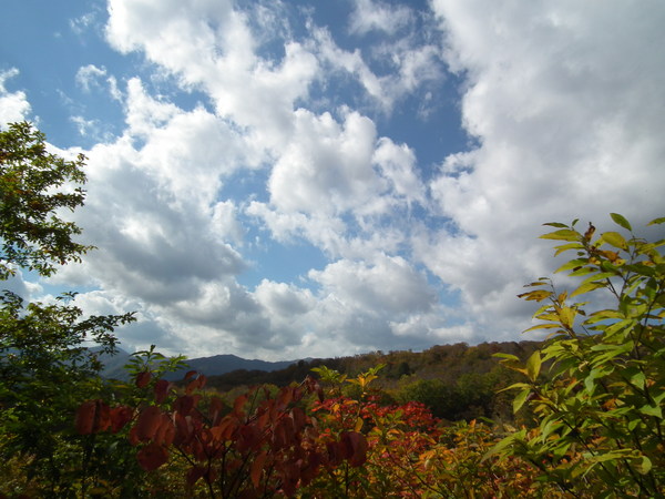 f0118332_238098.jpg