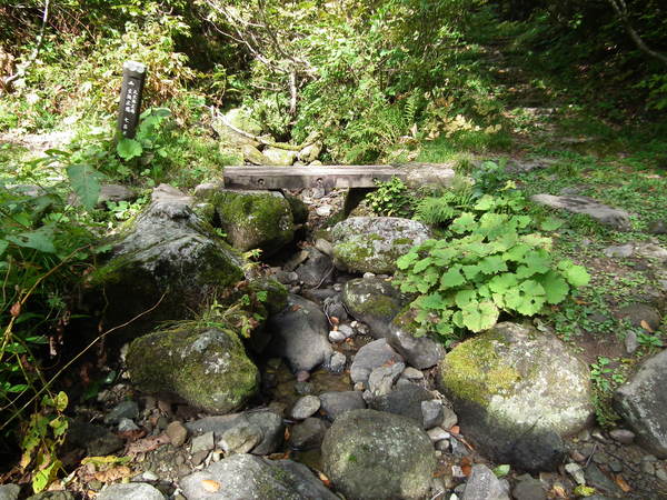 f0118332_2384318.jpg