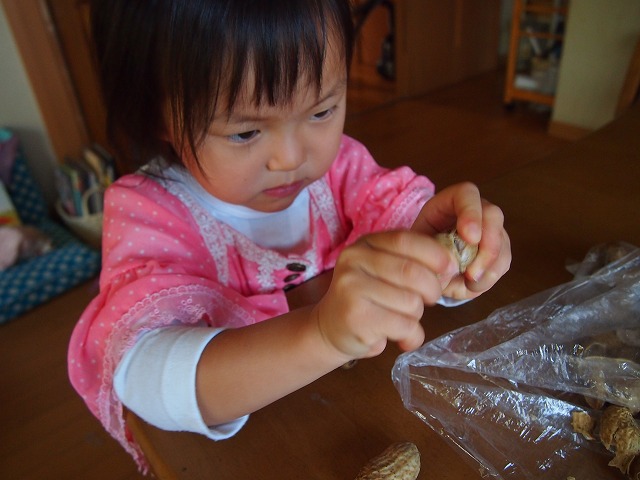 a0280635_8223496.jpg