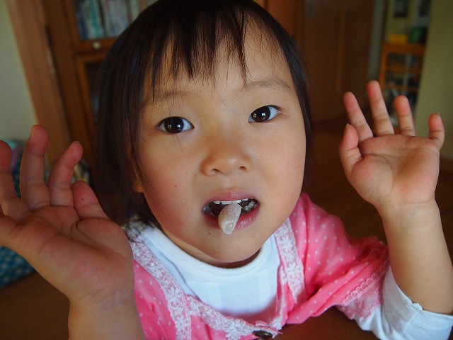 a0280635_823267.jpg